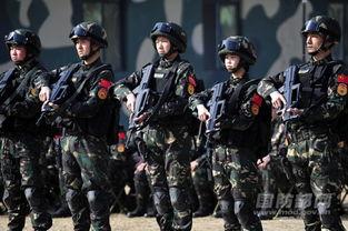 网军部队,网络战场的神秘力量