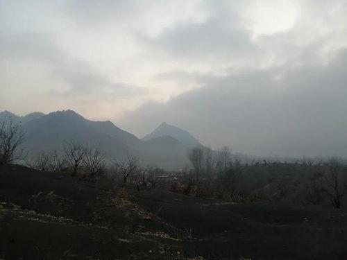 破晓徂徕山,探寻东方日出之巅的神秘之旅