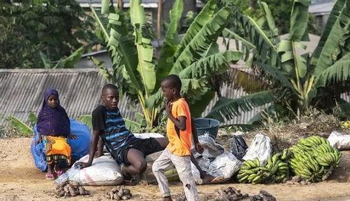 非洲致命国度,揭秘危险重重的生存挑战  第2张