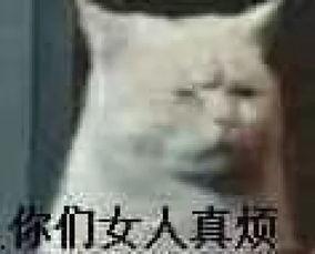 失聪千金，总裁的朱砂痣藏不住了,总裁的朱砂痣终现光芒  第2张