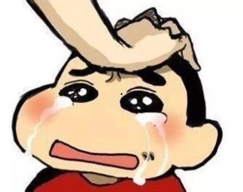 我不出名 但我是东罗马尼亚人 第2张 我不出名 但我是东罗马尼亚人 第2张